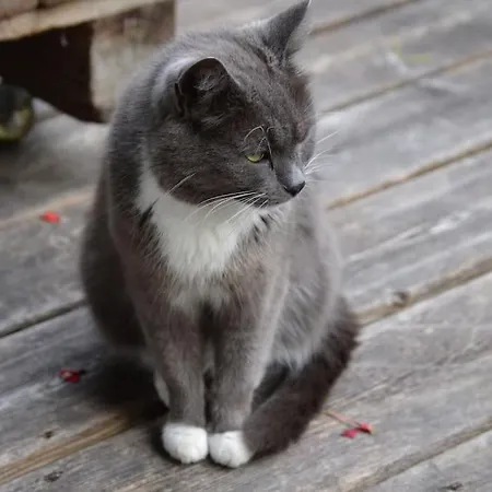 Herberge. 46 Apartamento *